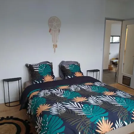 Apartment Vue Sur Chateau De Lourdes